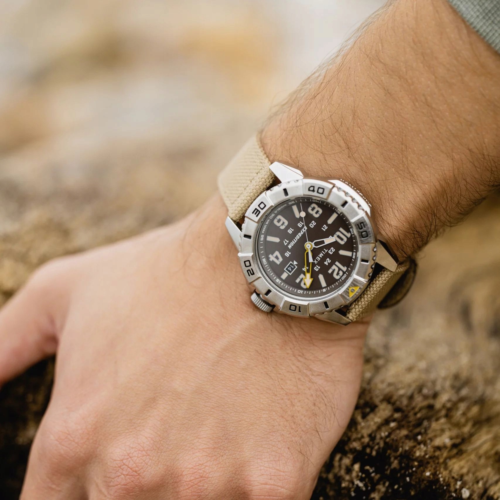 Buy timex hot sale