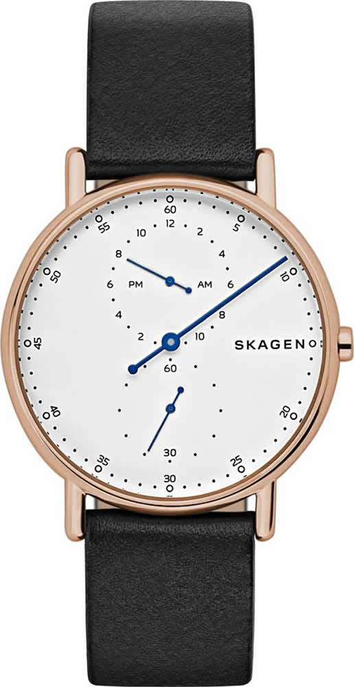 Часы Skagen SKW6390 — купить наручные часы в интернет-магазине ...