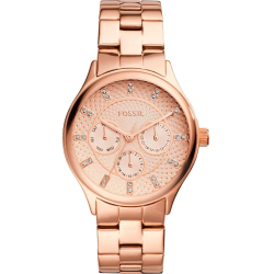 Fossil BQ1561