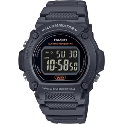 Casio W-219H-8B