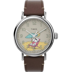 Timex TW2V61200