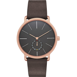 Skagen SKW6213