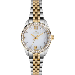 Essence ES6661FE.220