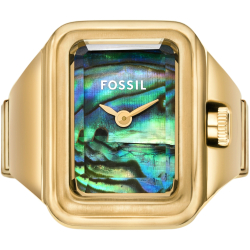 Fossil ES5411