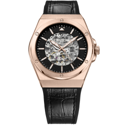 Pilotage P 116.41.31