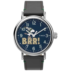 Timex TW2V60700