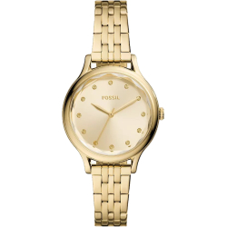 Fossil BQ3863
