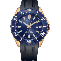 Citizen BN0196-01L