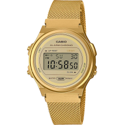 Casio A171WEMG-9A