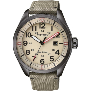 "Citizen" AW5005-12X