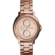 &quot;Fossil&quot; ES3720