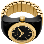 &quot;Fossil&quot; ES5413