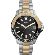 &quot;Fossil&quot; BQ2507