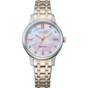 Citizen EM0896-89Y