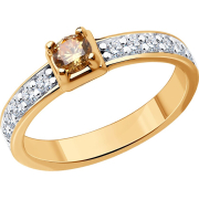 Sokolov ������ 93-110-01553-2 (17)