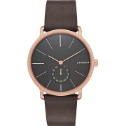 &quot;Skagen&quot; SKW6213