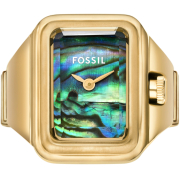 &quot;Fossil&quot; ES5411