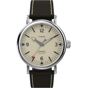 &quot;Timex&quot; TW2V44100