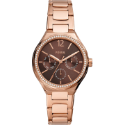 &quot;Fossil&quot; BQ3746