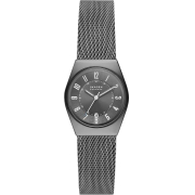 &quot;Skagen&quot; SKW3039