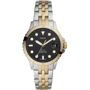 &quot;Fossil&quot; ES4745