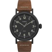 &quot;Timex&quot; TW2T69300