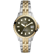 &quot;Fossil&quot; ES5117