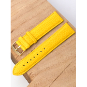 ������� ��� ����� Modeno M-2238