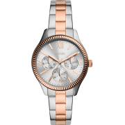 &quot;Fossil&quot; BQ3761