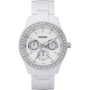 &quot;Fossil&quot; ES1967