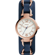 &quot;Fossil&quot; ES3857