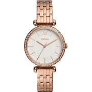 Fossil BQ3497