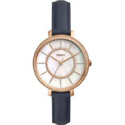 &quot;Fossil&quot; ES4456