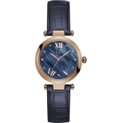 GC Y31004L7