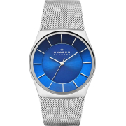 &quot;Skagen&quot; SKW6068