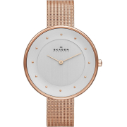 &quot;Skagen&quot; SKW2142