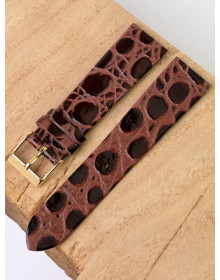 Ardi  22-03-02-1-2 PANDORA