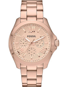 Fossil (������) AM4511 (������)