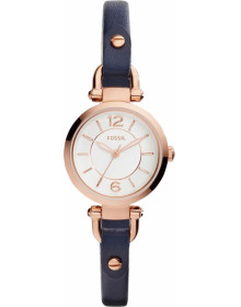 &quot;Fossil&quot; ES4026