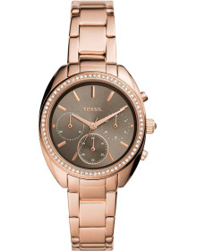 &quot;Fossil&quot; BQ3659