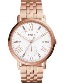 &quot;Fossil&quot; ES4246