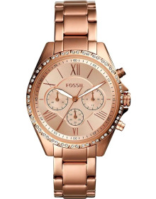 Fossil BQ3377