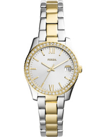 &quot;Fossil&quot; ES4319