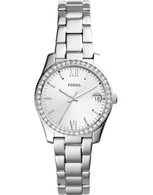 &quot;Fossil&quot; ES4317