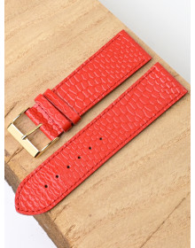 Ardi  24-02-02-1-6 PITON