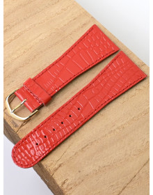 Ardi  28-02-02-1-6 ANAKONDA