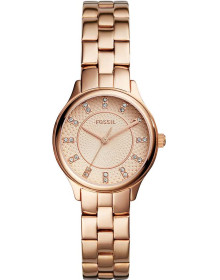 &quot;Fossil&quot; BQ1571