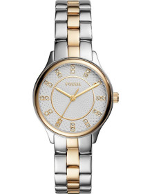 &quot;Fossil&quot; BQ1574