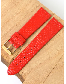 Ardi  22-03-02-1-6 PITON