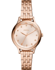 &quot;Fossil&quot; BQ3862